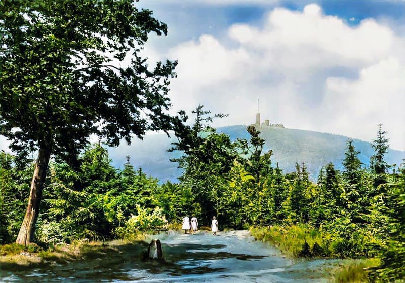 Die Geschichte des Waldschlösschens 3 Blick vom Rennsteig zum Grossen Inselsberg Brotterode 1962