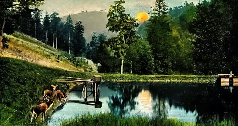 Die Geschichte des Waldschlösschens 4 Rehe am Gehege Teich