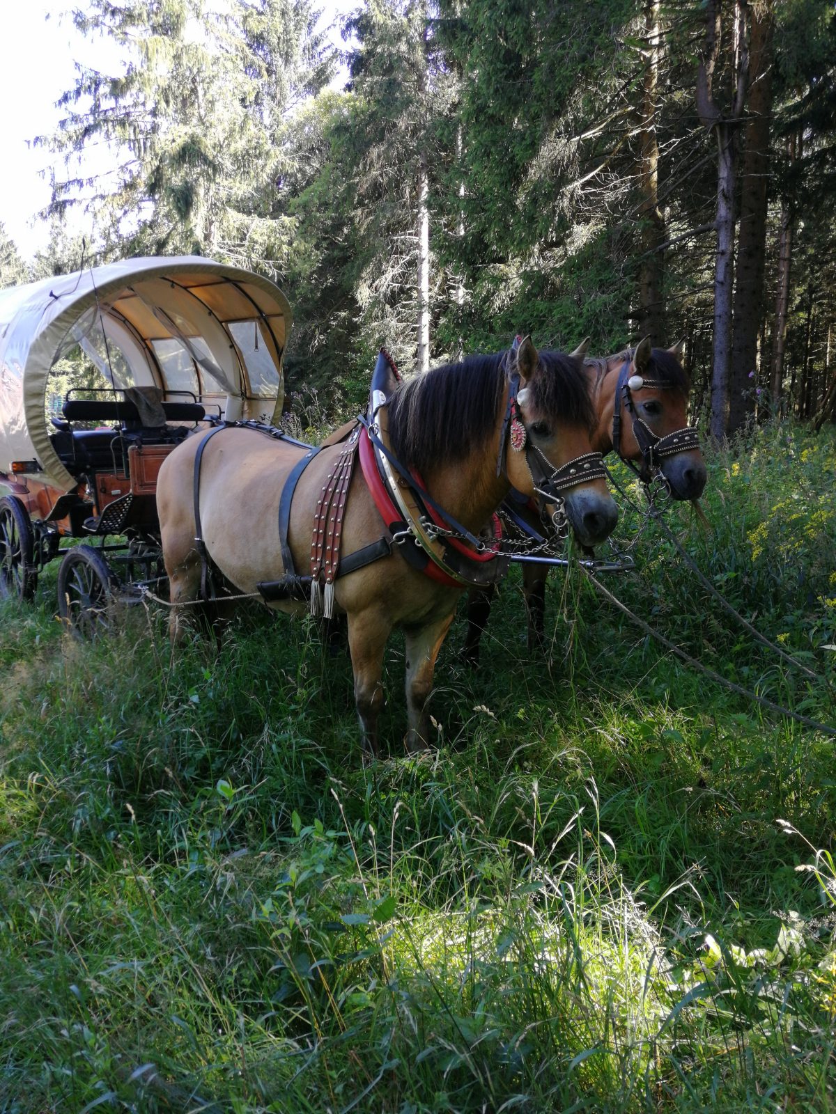 kutsche-1 kutsche 1