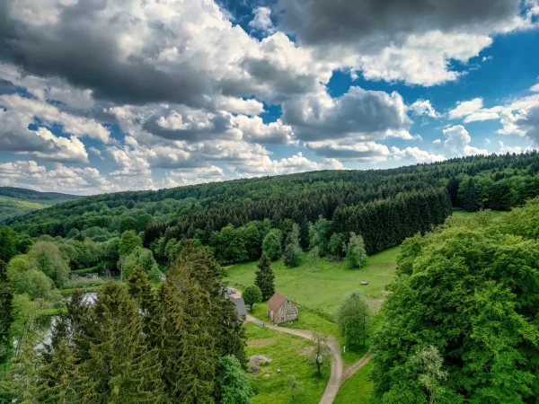 Fotogalerie des Waldschlösschens 2 scheune 2024 05 20