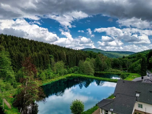 Fotogalerie des Waldschlösschens 3 teich 2024 05 20