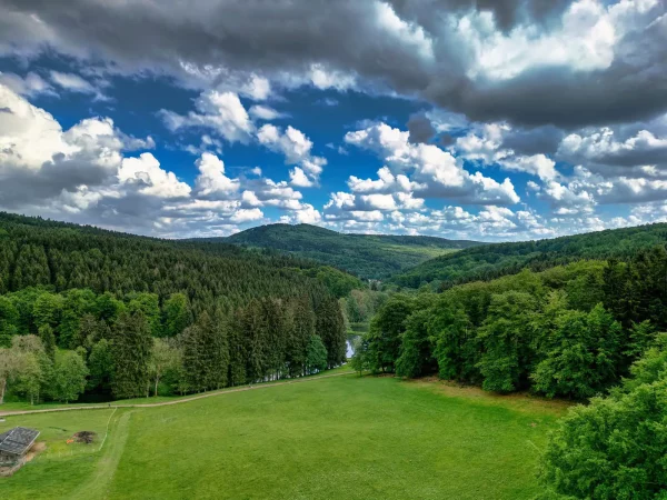 Fotogalerie des Waldschlösschens 4 wiese 2024 05 20