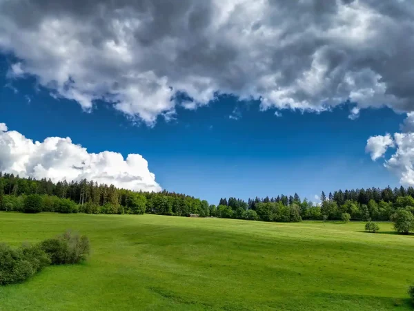 Fotogalerie des Waldschlösschens 5 nordost hang