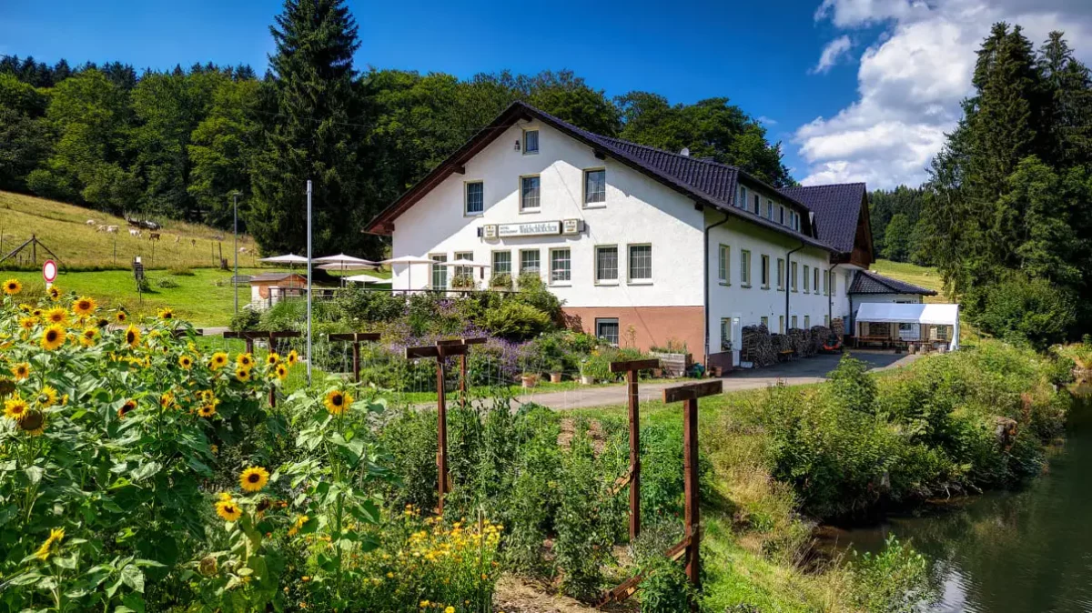 sonnenblumen