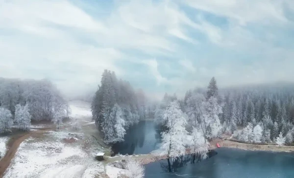 Fotogalerie des Waldschlösschens 12 winterteich waldschloesschen gehege