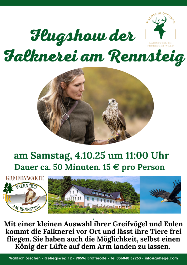 flugshow