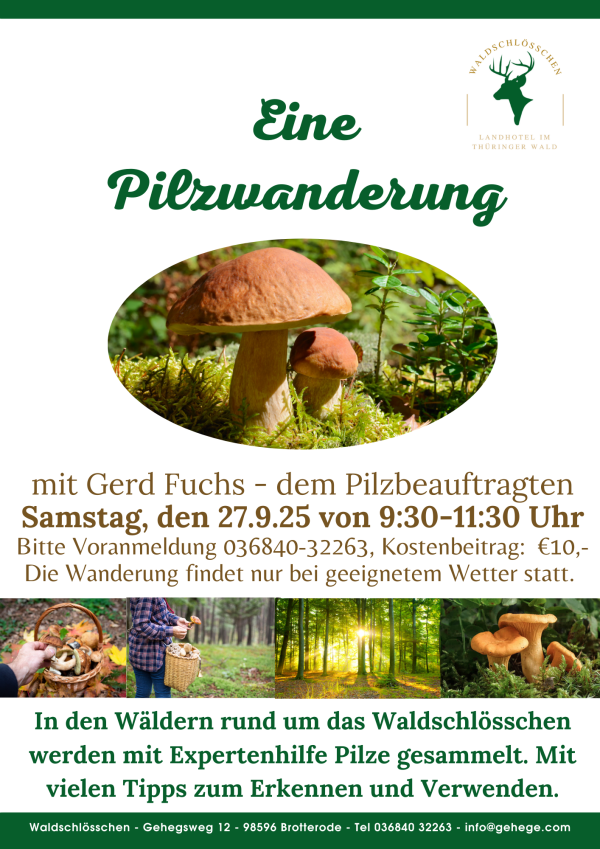 pilzwanderung 2025